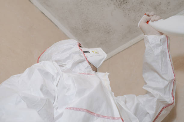 Best Residential Mold Remediation in Ocean City, FL